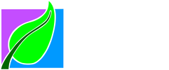 Villa Property Maintenance